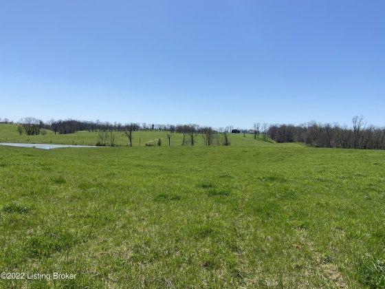 3559 Campbellsburg Rd, Campbellsburg, Kentucky 40011, ,Land,For Sale,Campbellsburg,1654236