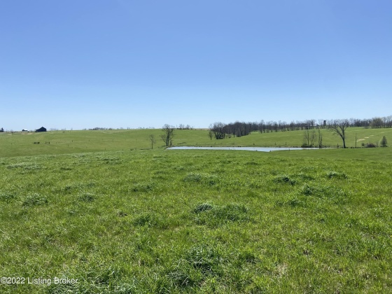 3559 Campbellsburg Rd, Campbellsburg, Kentucky 40011, ,Land,For Sale,Campbellsburg,1654236