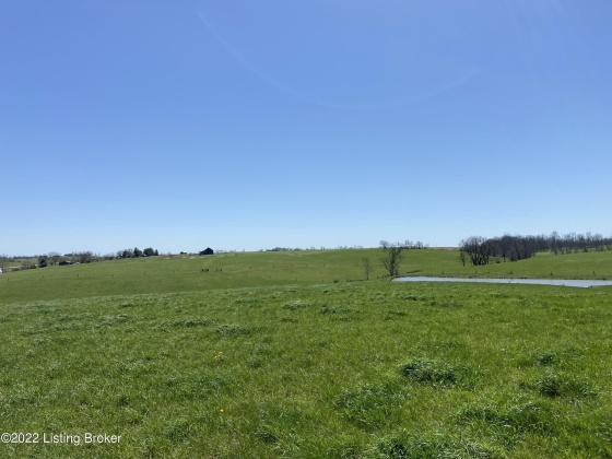 3559 Campbellsburg Rd, Campbellsburg, Kentucky 40011, ,Land,For Sale,Campbellsburg,1654236