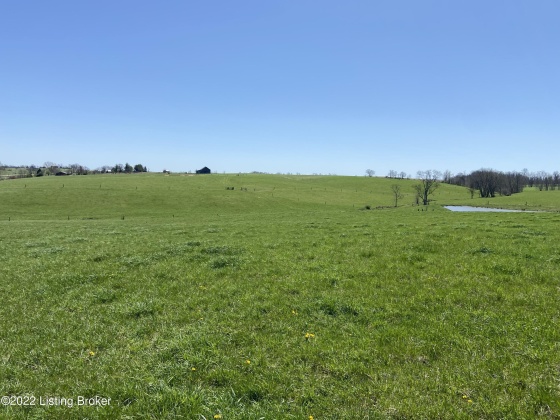 3559 Campbellsburg Rd, Campbellsburg, Kentucky 40011, ,Land,For Sale,Campbellsburg,1654236