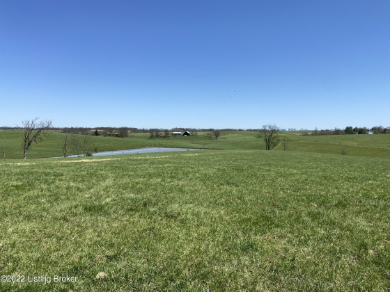 3559 Campbellsburg Rd, Campbellsburg, Kentucky 40011, ,Land,For Sale,Campbellsburg,1654236