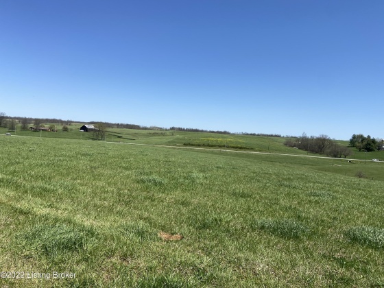 3559 Campbellsburg Rd, Campbellsburg, Kentucky 40011, ,Land,For Sale,Campbellsburg,1654236