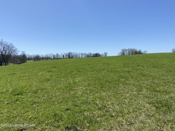 3559 Campbellsburg Rd, Campbellsburg, Kentucky 40011, ,Land,For Sale,Campbellsburg,1654236