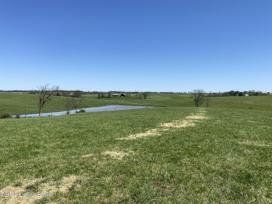 3559 Campbellsburg Rd, Campbellsburg, Kentucky 40011, ,Land,For Sale,Campbellsburg,1654236