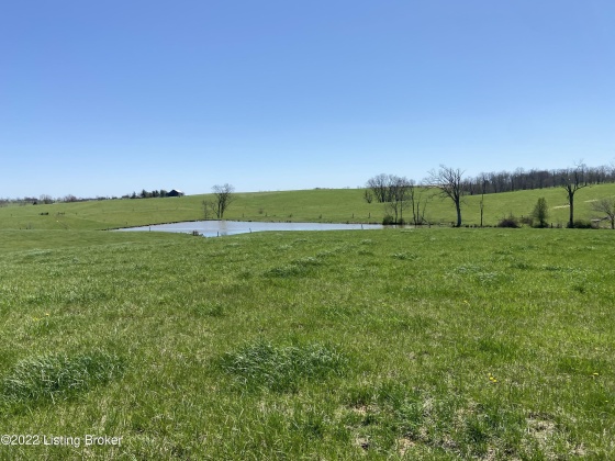 3559 Campbellsburg Rd, Campbellsburg, Kentucky 40011, ,Land,For Sale,Campbellsburg,1654236