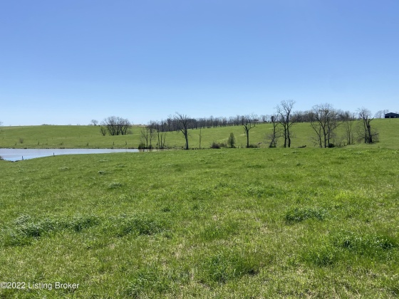 3559 Campbellsburg Rd, Campbellsburg, Kentucky 40011, ,Land,For Sale,Campbellsburg,1654236