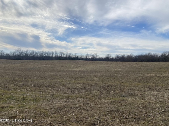 1866 Whitfield Ln, Taylorsville, Kentucky 40071, ,Land,For Sale,Whitfield,1654269