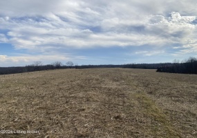 1866 Whitfield Ln, Taylorsville, Kentucky 40071, ,Land,For Sale,Whitfield,1654269