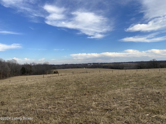 1866 Whitfield Ln, Taylorsville, Kentucky 40071, ,Land,For Sale,Whitfield,1654269