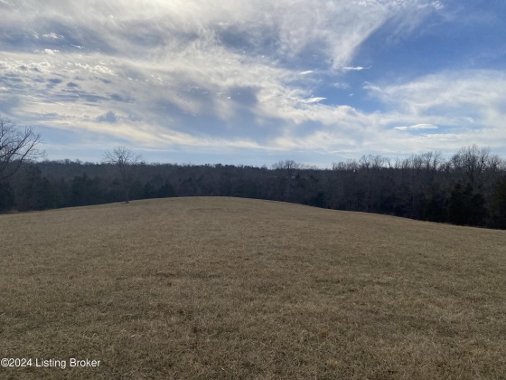 1866 Whitfield Ln, Taylorsville, Kentucky 40071, ,Land,For Sale,Whitfield,1654269