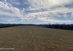 1866 Whitfield Ln, Taylorsville, Kentucky 40071, ,Land,For Sale,Whitfield,1654269