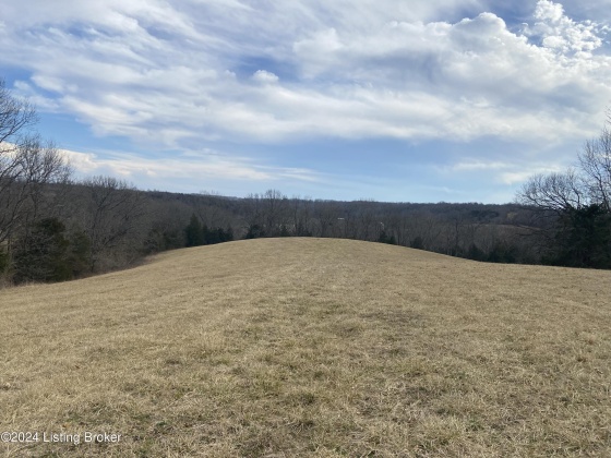 1866 Whitfield Ln, Taylorsville, Kentucky 40071, ,Land,For Sale,Whitfield,1654269