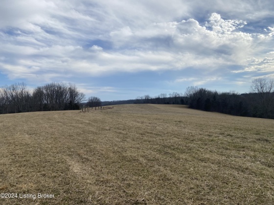 1866 Whitfield Ln, Taylorsville, Kentucky 40071, ,Land,For Sale,Whitfield,1654269