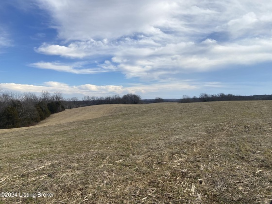 1866 Whitfield Ln, Taylorsville, Kentucky 40071, ,Land,For Sale,Whitfield,1654269