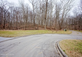 7100 Covered Cove Way, Prospect, Kentucky 40059, ,Land,For Sale,Covered Cove,1654288