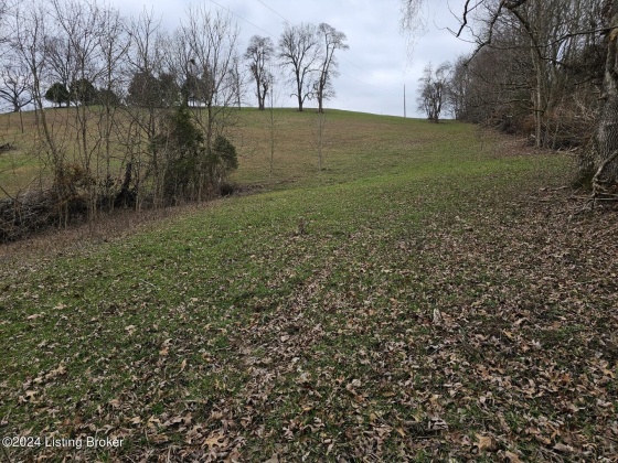 Tract 2 Lone Star Road, Upton, Kentucky 42784, ,Land,For Sale,Lone Star Road,1654385