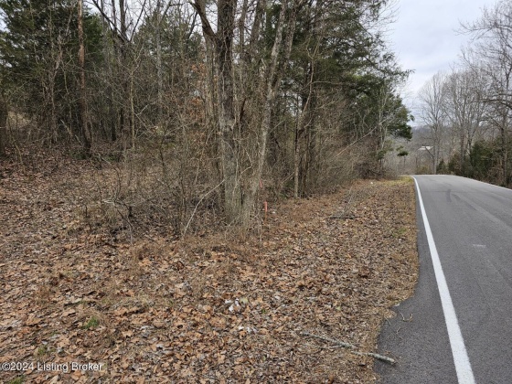 Tract 3 Nancy Priddy Rd, Upton, Kentucky 42784, ,Land,For Sale,Nancy Priddy,1654386