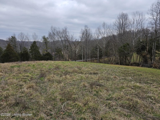 Tract 3 Nancy Priddy Rd, Upton, Kentucky 42784, ,Land,For Sale,Nancy Priddy,1654386