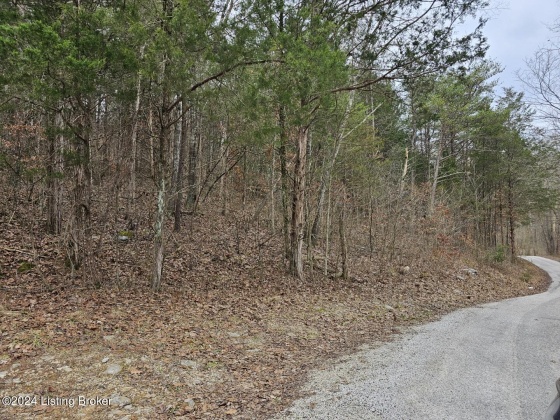 Tract 3 Nancy Priddy Rd, Upton, Kentucky 42784, ,Land,For Sale,Nancy Priddy,1654386