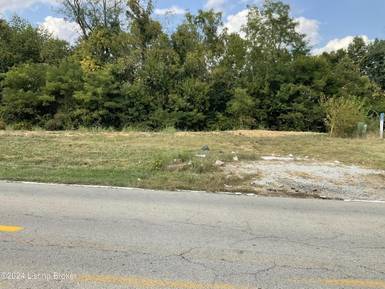 6901 East Manslick Rd, Louisville, Kentucky 40228, ,Land,For Sale,East Manslick,1654472